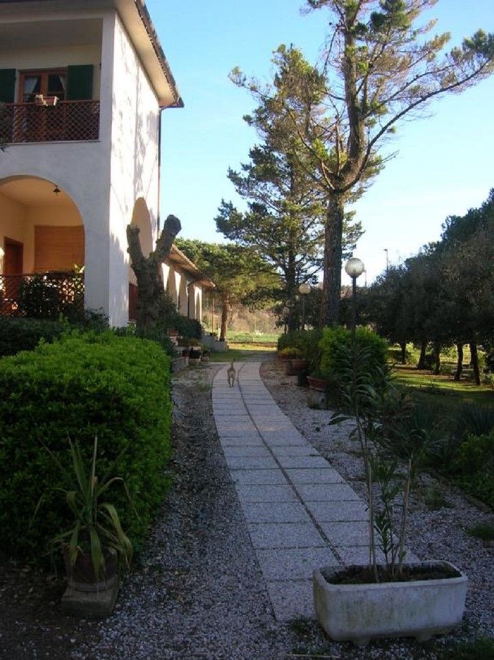 Hotel Il Poggetto Castellina Marittima Exterior foto